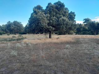 Terreno residencial en Sónsoles. Ávilaterreno