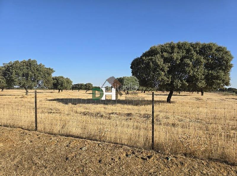 Foto 810a7b93-0c84-4458-958f-e2dbb0ee494f. Terreny residencial a Dehesilla de Calamón - Campomanes Badajoz