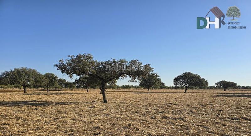 Foto ab578add-0f54-46af-97ca-2ef60889304a. Terreny residencial a Dehesilla de Calamón - Campomanes Badajoz