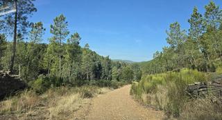Residential Plot in Pedanías de Badajoz. Badajozterreno