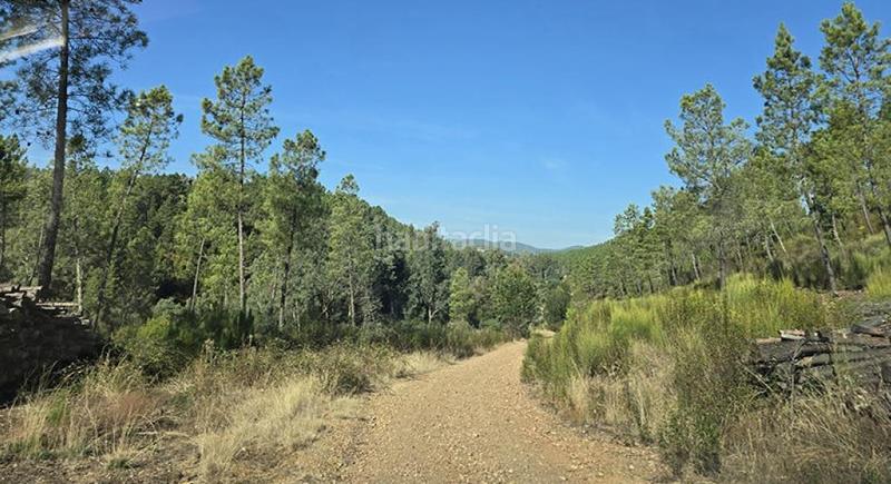 Foto bda07470-7f32-4b59-a059-6a18aa2a91e5. Wohngrundstück in pedanías de Badajoz Badajoz