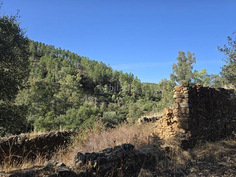 Foto f08ffca2-e432-4d86-8429-6654d92c287f. Wohngrundstück in pedanías de Badajoz Badajoz