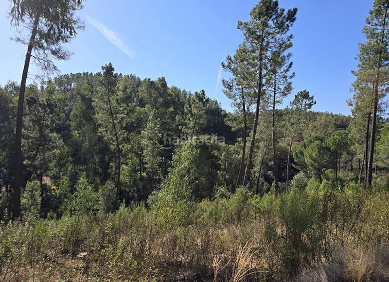 Foto f53eb4ae-a872-494e-a5a6-7e50e25f7f10. Wohngrundstück in pedanías de Badajoz Badajoz