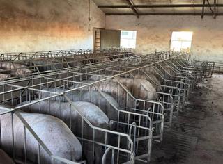 Wohngrundstück in Extrarradio. Valladolidterreno