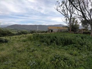 Terreno residencial en Tarifa Ciudad. Cádizterreno