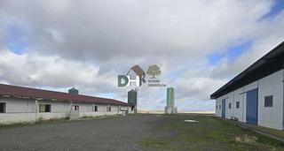 Wohngrundstück in Oeste