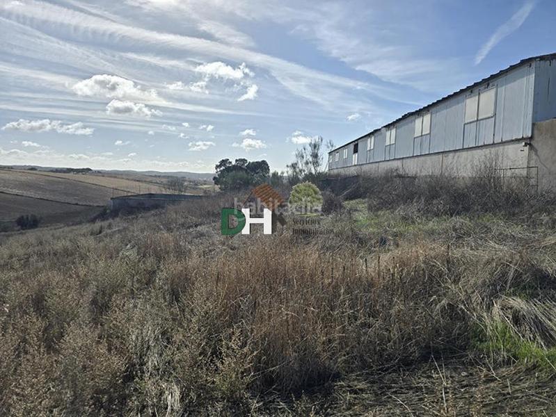 Foto 17870a2e-73fb-4fb7-9d81-a811b1b25151. Residential plot in Las Vaguadas Badajoz