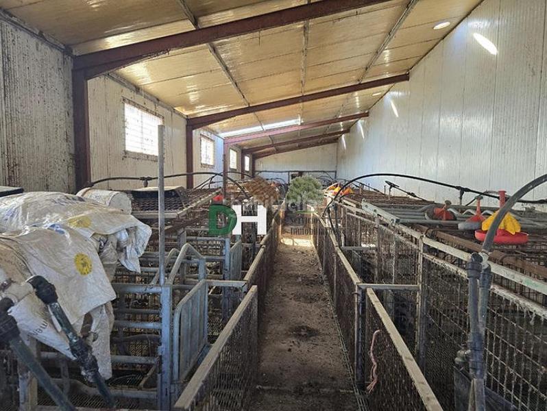 Foto 3038f9eb-9515-4a72-bd21-0010cf54656e. Residential plot in Las Vaguadas Badajoz