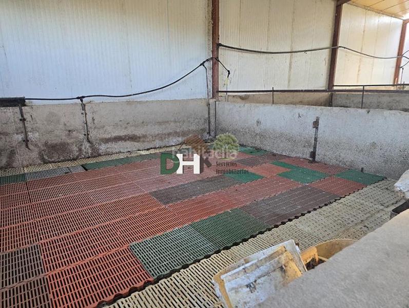 Foto 6edc6f3f-ce5c-4473-99b9-1b59681ad739. Residential plot in Las Vaguadas Badajoz