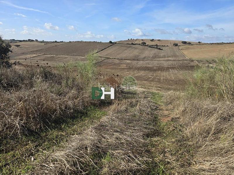 Foto 7deab64a-ce8f-4983-8f8e-ed0c5f4348b6. Residential plot in Las Vaguadas Badajoz