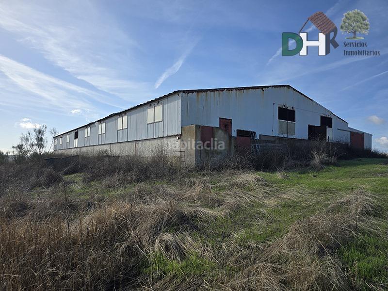 Foto 86d21676-1c47-4218-a7d7-c807e7cf0332. Residential plot in Las Vaguadas Badajoz