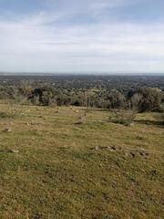 Terreny residencial a Los Cigarrales-La Bastida. Toledoterreno