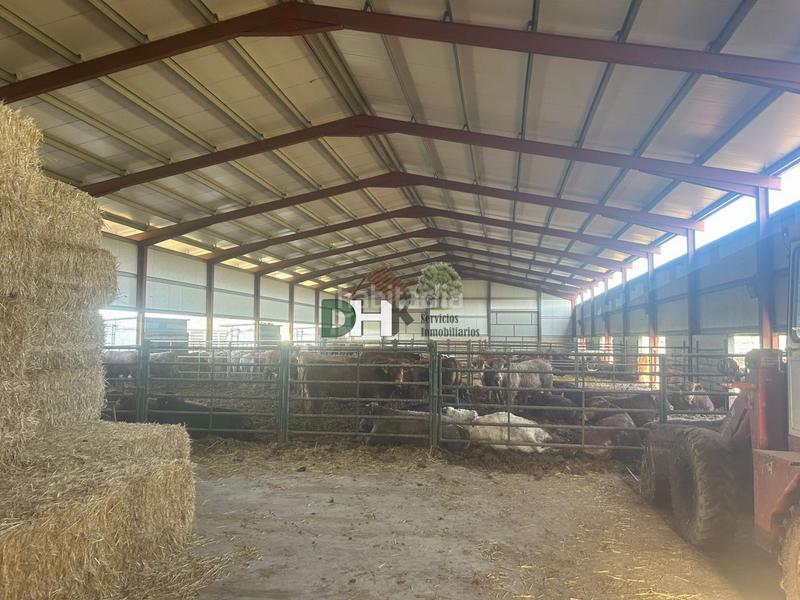 Foto eaaabf73-98ee-4884-9f80-dda94dad772f. Terreno residencial terreno en Cuatro Postes Ávila