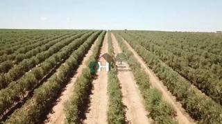 Wohngrundstück in Norte. Méridaterreno