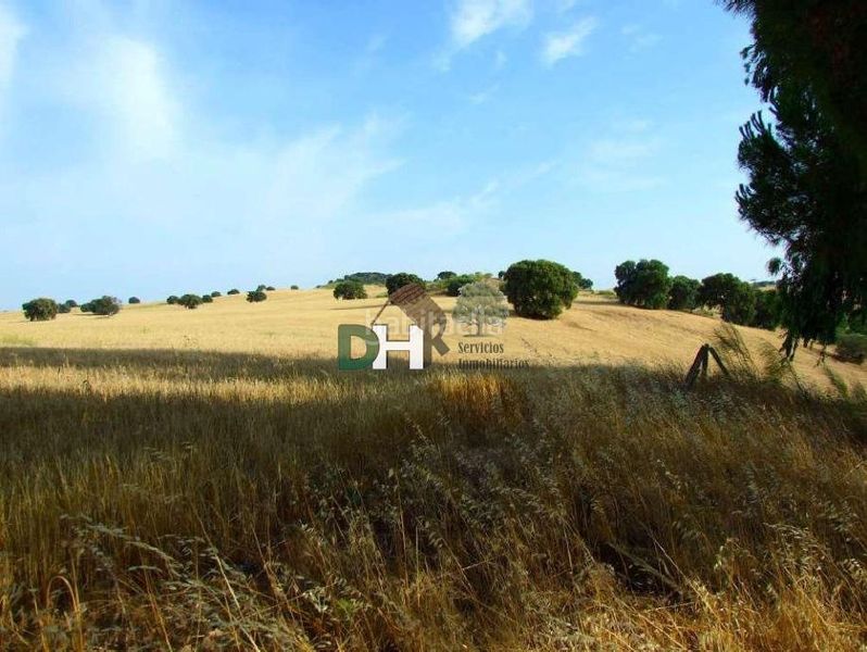 Foto c88479b2-3e35-4406-b05f-96ab83c1f938. Terreny residencial a Los Cigarrales-La Bastida Toledo