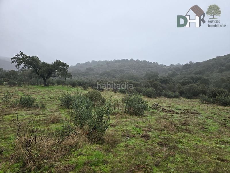 Foto 6acee380-953c-4852-a7ae-35cafb7cb7ae. Terreny residencial a Campus Universitario Cáceres