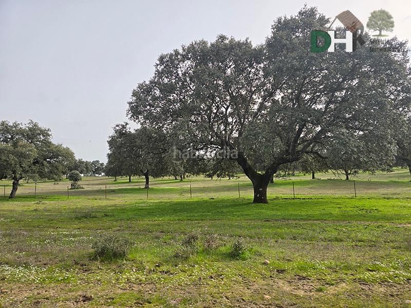 Foto a8bd83aa-36a6-46e7-af8f-1d7285178a6a. Terreny residencial a Campus Universitario Cáceres
