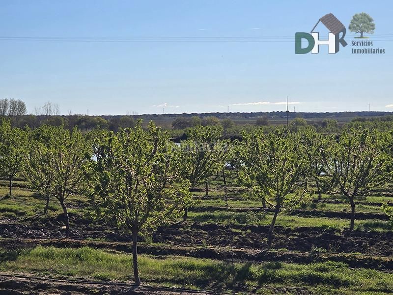 Foto 00bfad17-7358-47e3-8d94-be08b9e5e91b. Terreno residenziale in Aguas Vivas - La Zambomba Cáceres