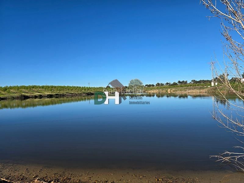 Foto 288c2188-0a80-4fc6-aad7-7fa9d5581e12. Terreno residenziale in Aguas Vivas - La Zambomba Cáceres
