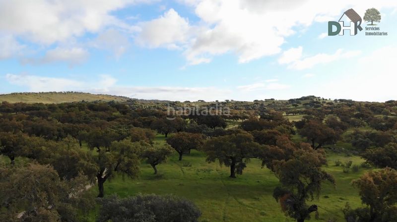 Foto 31312622-0cd4-41bc-9f6f-81823324b2f2. Terreny residencial a San Roque - Ronda Norte Badajoz