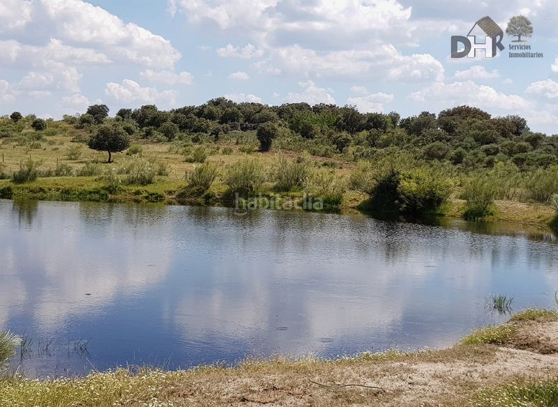 Foto 5f8d0558-096e-4df6-a5cc-4c07a104206c. Terreny residencial a San Roque - Ronda Norte Badajoz