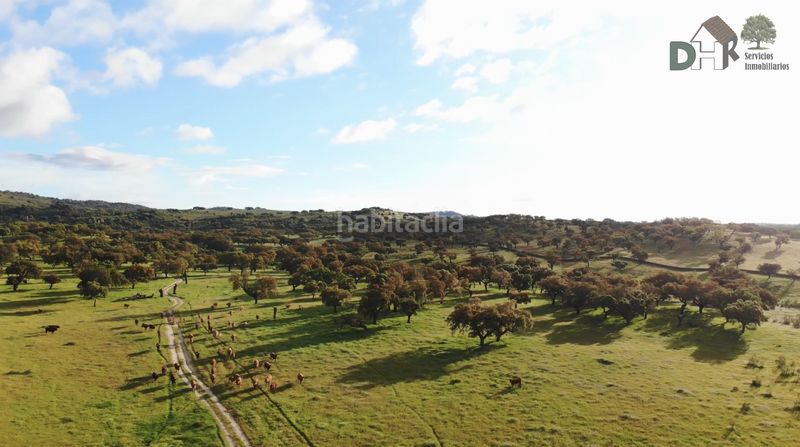 Foto 9232a81c-d7bd-49d7-b85b-b0ab66980572. Terreny residencial a San Roque - Ronda Norte Badajoz