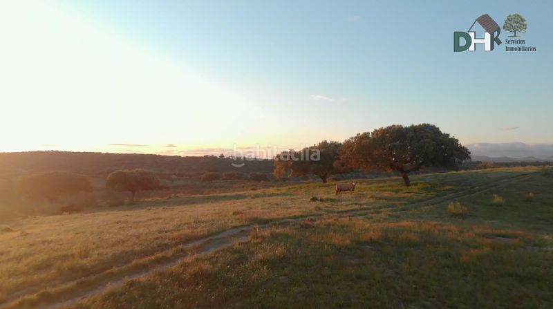 Foto b1ffe3a8-a9cd-41ef-b7d9-2267b645f05e. Terreny residencial a San Roque - Ronda Norte Badajoz