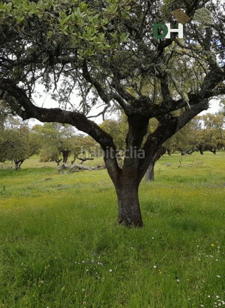 Foto b5809070-1220-4740-b1cb-9fe338cc94ea. Terreny residencial a San Roque - Ronda Norte Badajoz