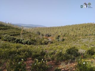 Residential Plot in San Roque - Ronda Norte. Badajozterreno