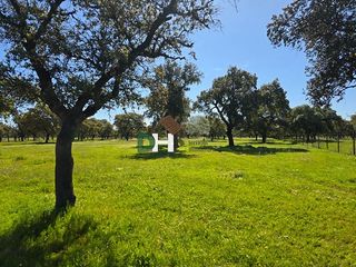 Terreny residencial a Carretera de Sevilla - Los Montitos. Badajozterreno