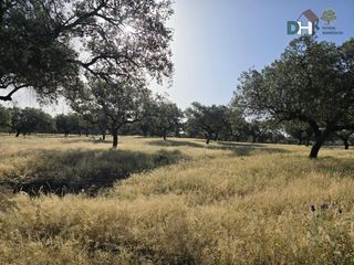 Terreno residenziale in San Roque - Ronda Norte. Badajozterreno
