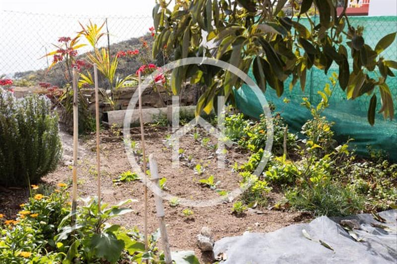 Foto 766b0a1d-5ec6-4c4b-b7b8-bd4f4af1aa5e. Casa amb aparcament a Fasnia