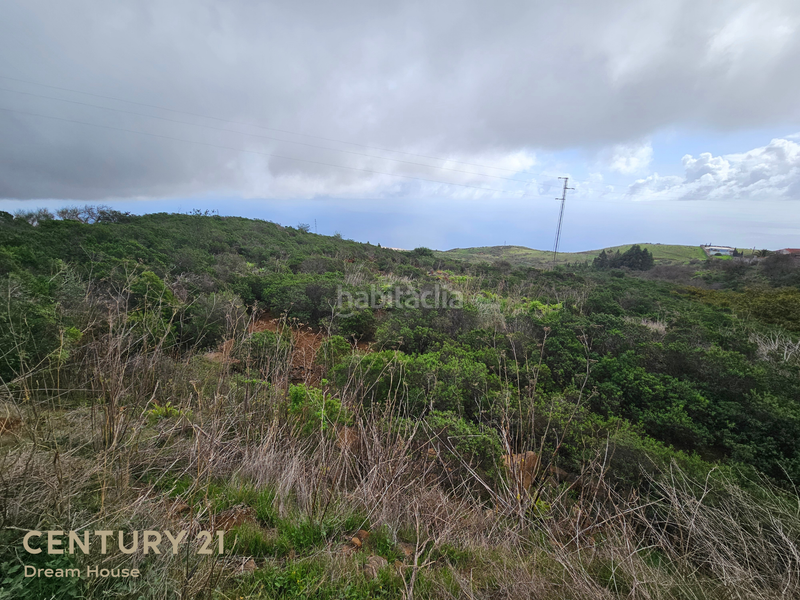 Foto 6e0f733f-1177-4452-96da-3445a3d54604. Finca rústica a camino las barreras 4 a Machado - Las Barreras Rosario (El)