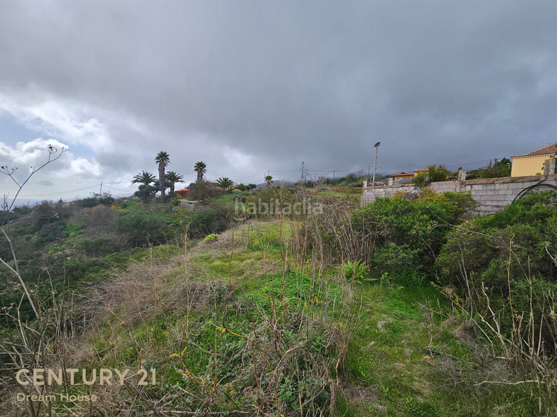 Foto ebe91463-d88f-4ba7-8538-7c1a9d6322c1. Finca rústica a camino las barreras 4 a Machado - Las Barreras Rosario (El)