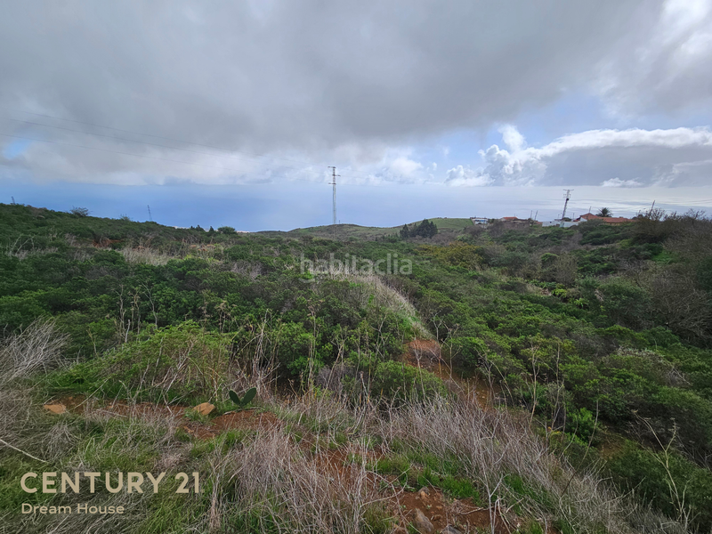 Foto fb513a40-374f-4332-abf6-004798b7215d. Finca rústica a camino las barreras 4 a Machado - Las Barreras Rosario (El)