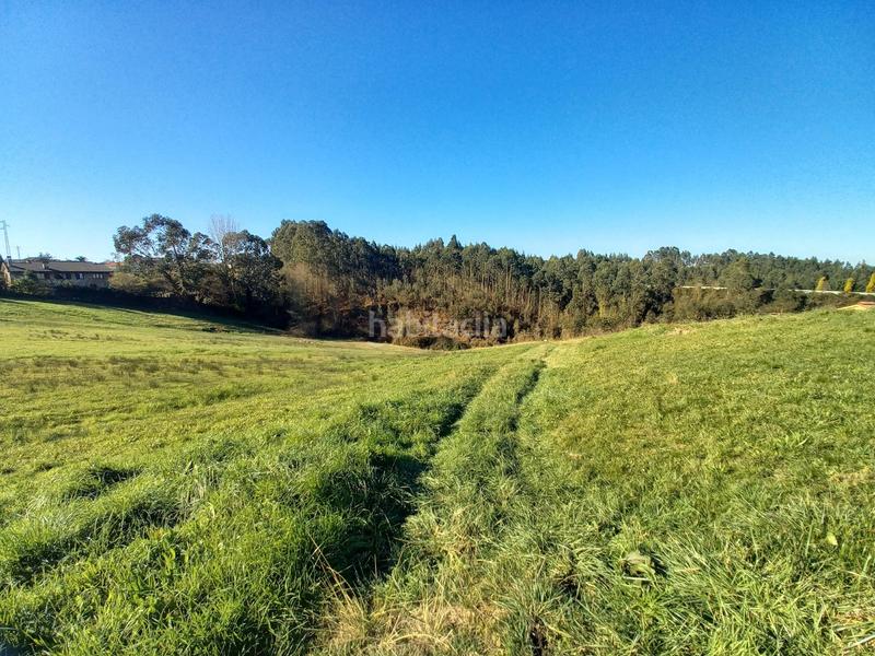 Foto 5ff42fd4-251c-45f5-8cf2-1f52e325f7a9. Finca rústica a lugar la braña 55 a Pillarno Castrillón