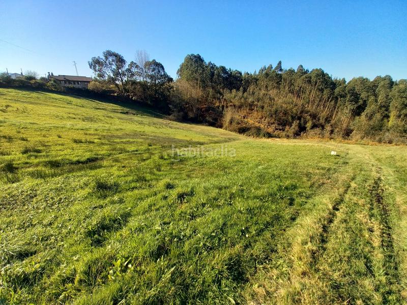 Foto cfa634c1-2e25-4b63-b33e-6333b642c598. Finca rústica a lugar la braña 55 a Pillarno Castrillón
