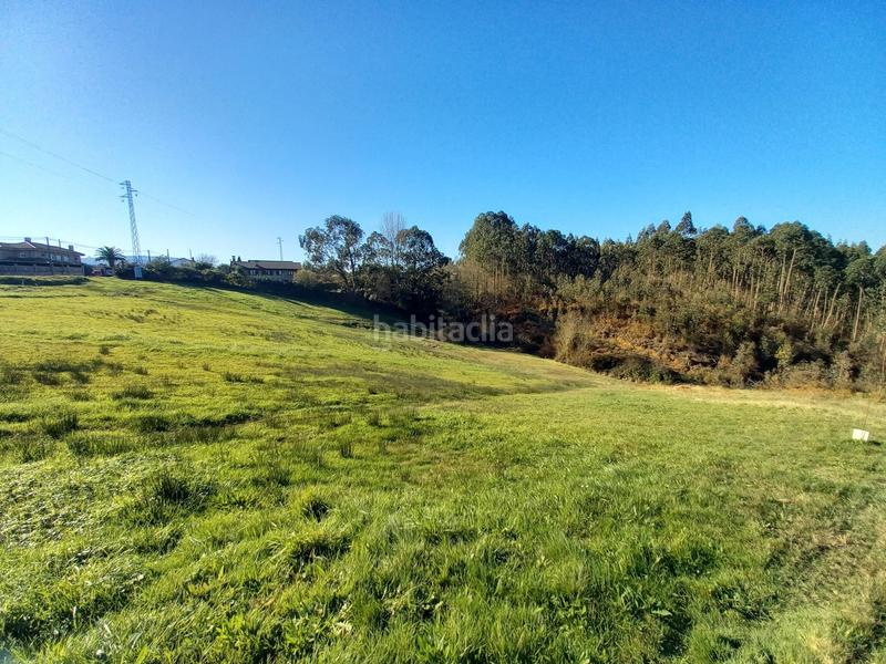 Foto fff45951-c0d9-452d-b45b-f83d8032e12a. Finca rústica a lugar la braña 55 a Pillarno Castrillón