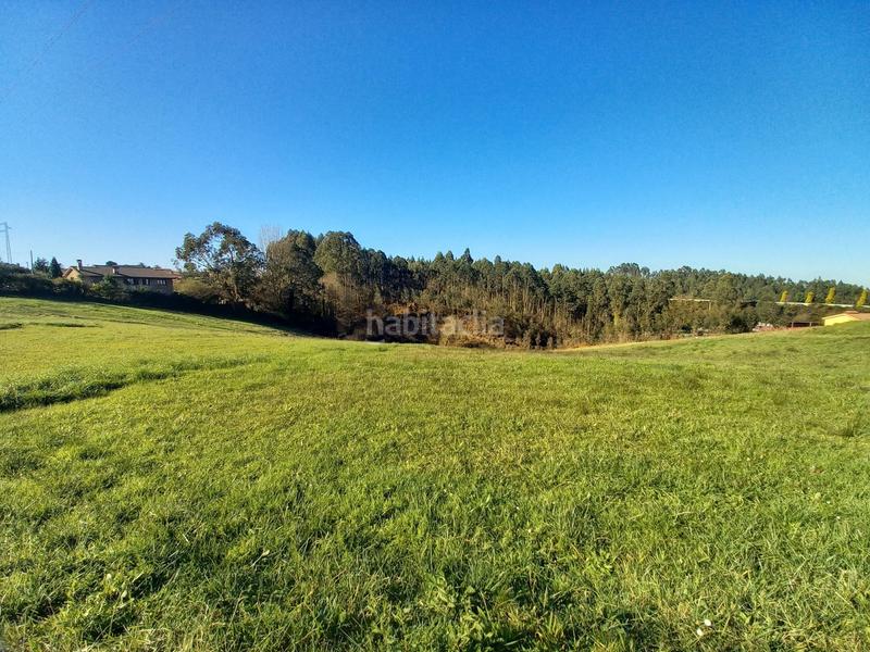 Foto 54b7bd4a-955d-4822-922a-93b7cdde6de6. Finca rústica en lugar la braña 55 en Pillarno Castrillón