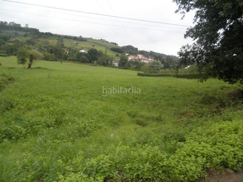 Foto f142ac49-dbf8-46df-8a9c-2957e68f7ebb. Finca rústica en Pillarno Castrillón