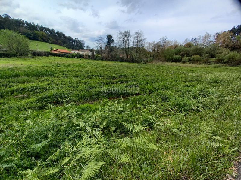Foto c1177461-c241-43dd-95a2-6eb81fee6d14. Finca rústica a n/a 28 a Pillarno Castrillón