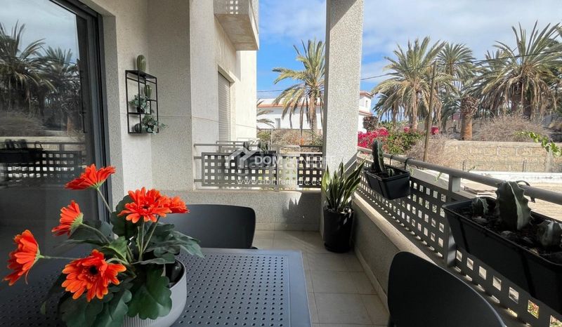 Foto 467f6ac8-2dea-453f-8271-023412df65f7. Alquiler piso apartamento de un dormitorio, ideal para parejas o personas solteras, está disponible para alquiler solo desde nbsp1 de septiembre en Adeje