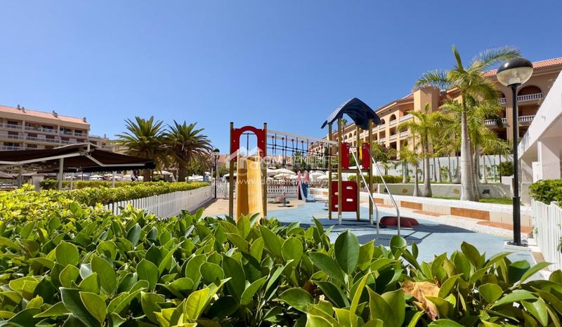 Foto 04b936f5-311b-4799-8e90-2bb082c55d6a. Lloguer pis amb aparcament piscina a Playa de las Américas Arona