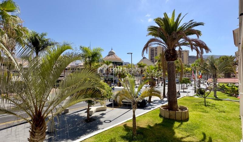 Foto 51321d06-86cd-4f93-9731-e755b904c538. Lloguer pis amb aparcament piscina a Playa de las Américas Arona