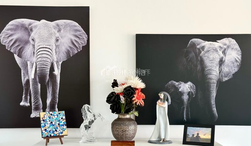 Foto d9ce1081-bb8a-4ad6-a424-7906edfb5624. Affitto appartamento con parcheggio piscina in Puerto de Santiago Santiago del Teide