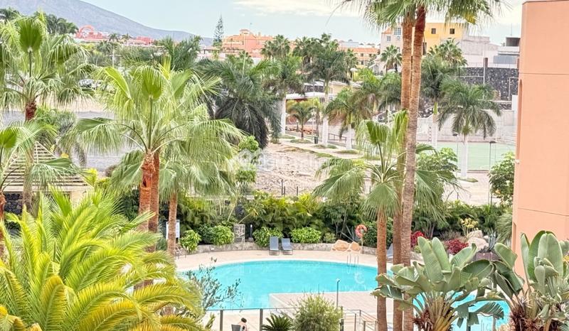 Foto 194a0c62-5df2-46ed-beb8-a073fc1ac4ba. Etagenwohnung mit parking pool in La Caleta Adeje