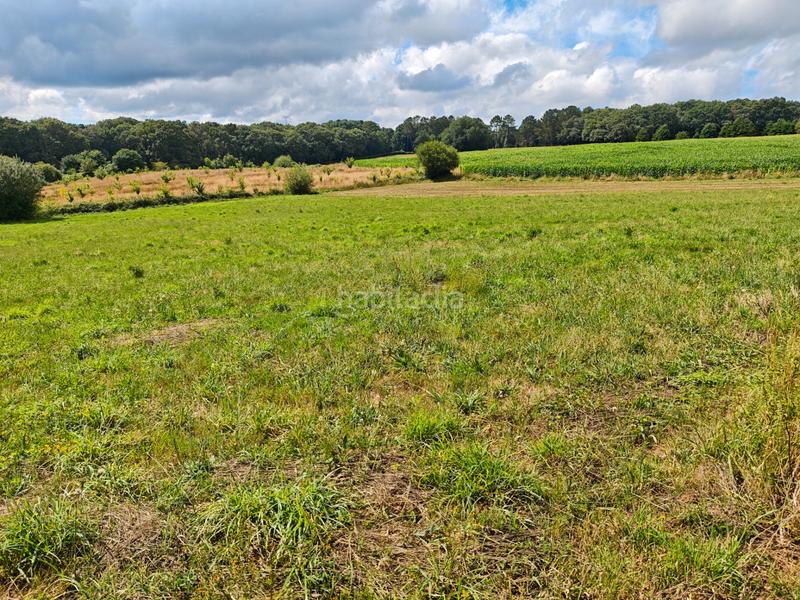 Foto 50adb5bc-628b-4f10-a574-94cdaaa85bb9. Landgut in Oroso