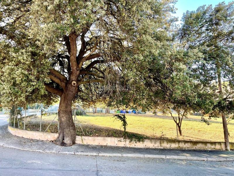 Foto 438e0981-d56e-46b9-9c05-68166b3be35c. Terreno residencial parcela en venta en pineda de bages en Sant Fruitós de Bages