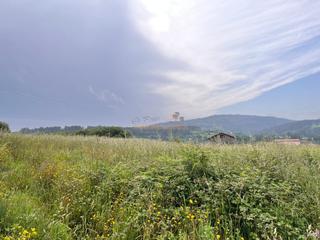 Residential Plot in Neda