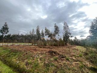 Terreny residencial a Sedes - Pedroso - Doso